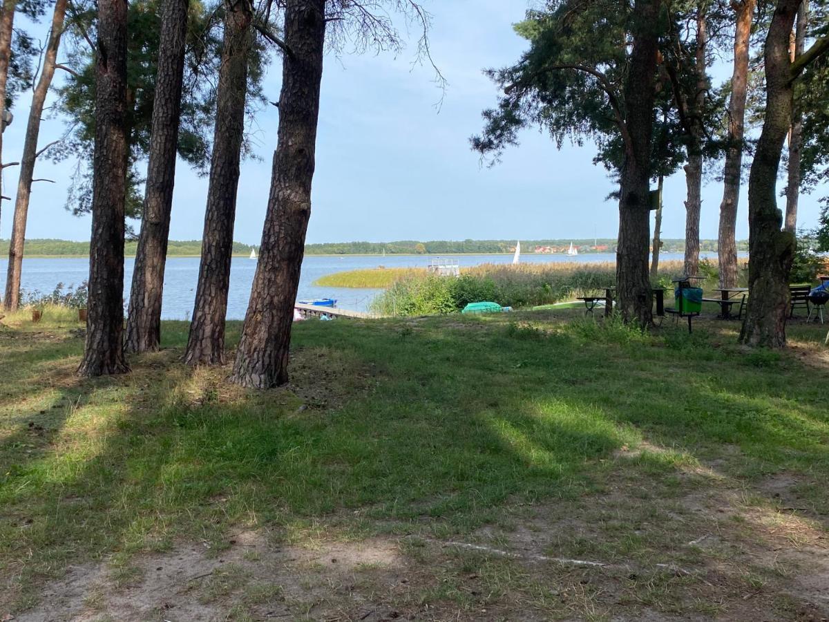 Apartament Wiewiorka Radzyń Buitenkant foto